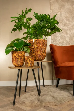 Pot Mayk Colour Vibes D31 H31 - image 3
