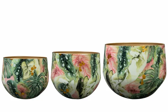 Pot Monstera Mystery D17 H14 - image 4