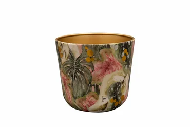 Pot Monstera Mystery D18 H16 - image 1