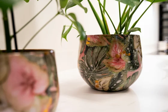 Pot Monstera Mystery D21 H17 - image 2