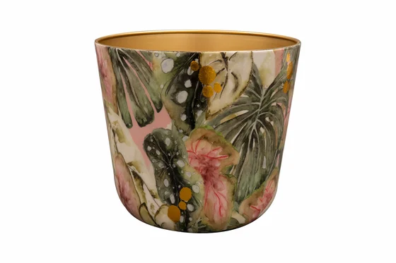 Pot Monstera Mystery D23 H20 - image 1