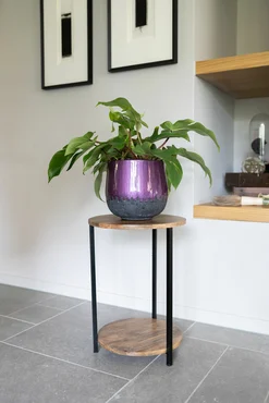 Pot Ninthe Metal Purple D16 H16 - image 3