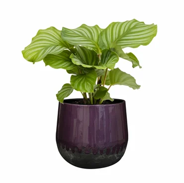 Pot Ninthe Metal Purple D23 H21 - image 2