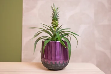 Pot Ninthe Metal Purple D23 H21 - image 5