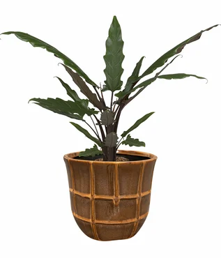 Pot Noemi Coral D18 H14 - image 3