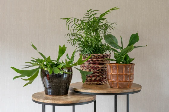 Pot Noemi Coral D18 H14 - image 2