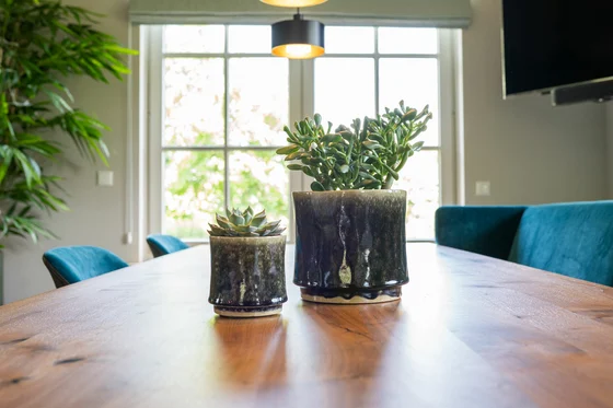 Pot Nolan Pine D19 H17 - image 2