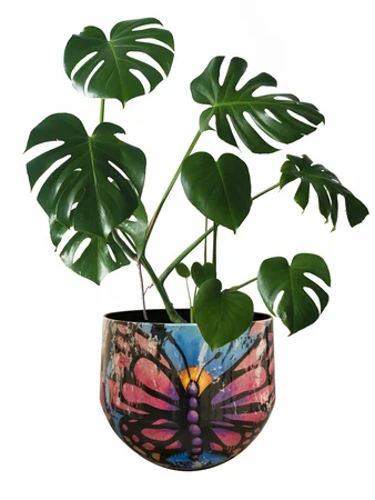 Pot Street Art Love Paint D21 H17 - image 3