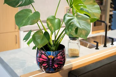 Pot Street Art Love Paint D21 H17 - image 2