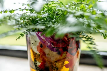 Pot Sweet Magnolia D7 H7 - image 2