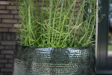 POT TALL THOM BLACK D44 H69 - image 3