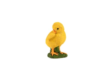 Preening Chick