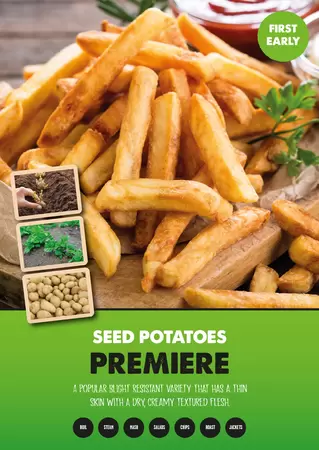 Premiere Seed Potato