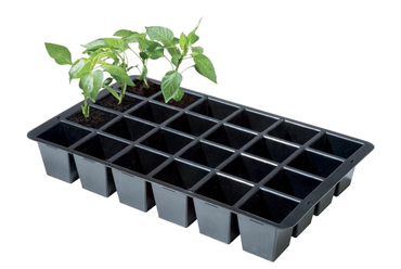 Premium 24 Cell Inserts Pk 2