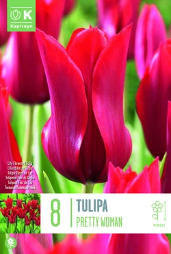 Pretty Woman Tulip Bulbs