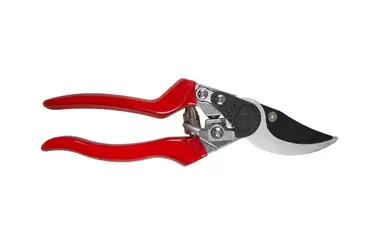 Professional L.H.Pruner