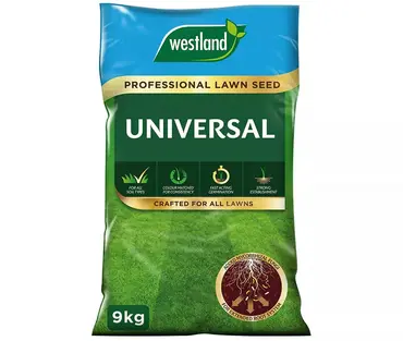 Professional Lawn Seed 9kg