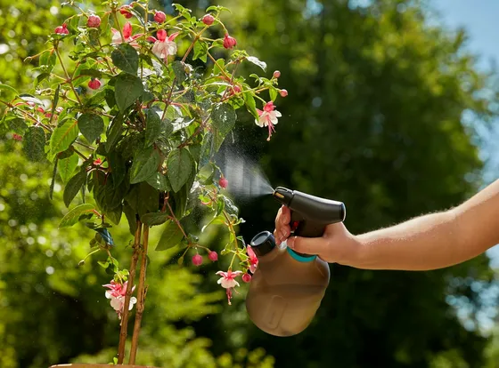 Pumpsprayer 1 L - image 10