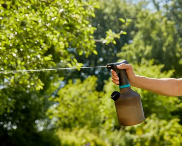 Pumpsprayer 1 L - image 3