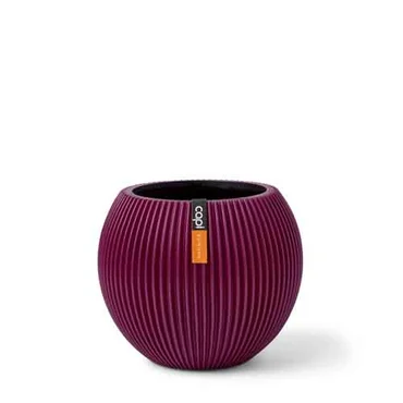 Purple Vase Ball Groove M
