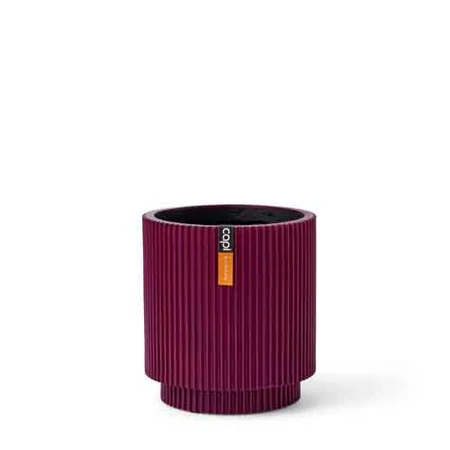 Purple Vase Cylinder Groove M