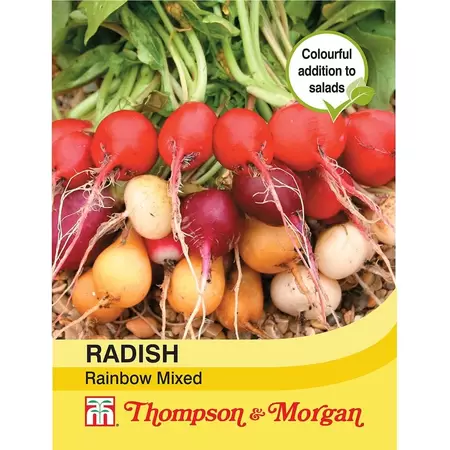 Radish Rainbow Mixed