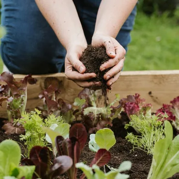 Raised Bed & Vegetable Soil - image 2