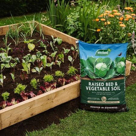 Raised Bed & Vegetable Soil - image 3