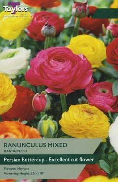 Ranunculus Mixed 5-6