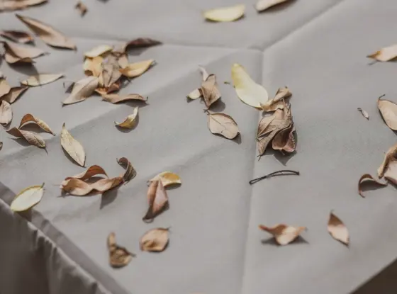 Rattan 3 Seater Sofa, 2 Sofa Chairs & Dual Height Table Set Cover - image 6