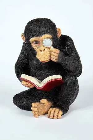 Reading Chimp
