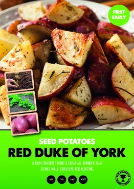 Red Duke of York Seed Potato 2kg