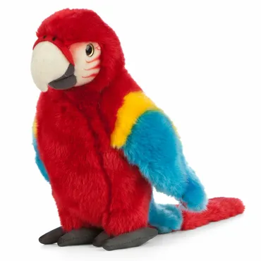 Red Macaw - image 2