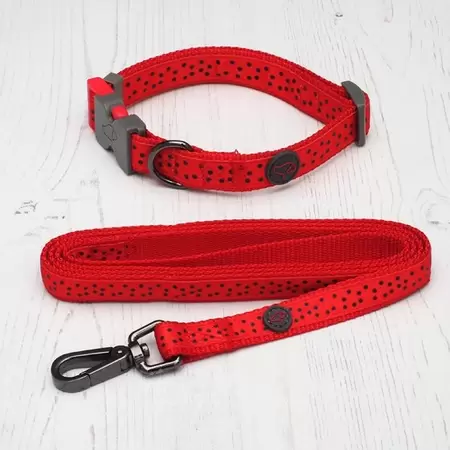 Red Polka Walkabout Dog Lead - Small