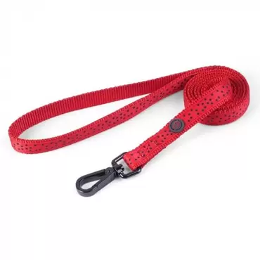 Red Polka Walkabout Dog Lead - Standard