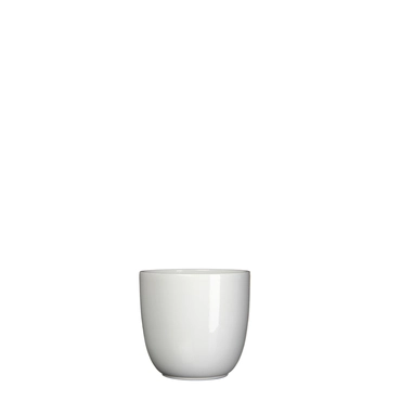 White Tusca Houseplant Pot