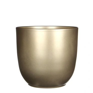 Gold Tusca Houseplant Pot