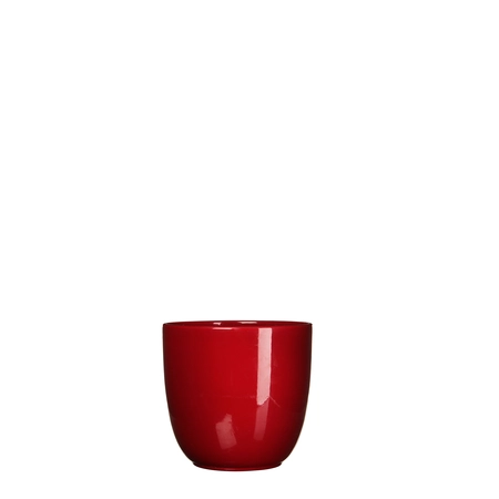 Red Tusca Houseplant Pot