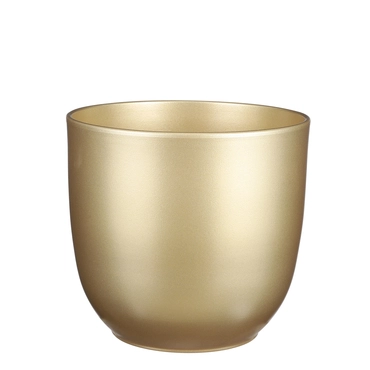 Gold Tusca Houseplant Pot