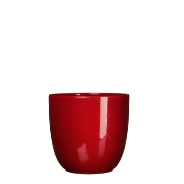 Red Tusca Houseplant Pot H16XD17CM