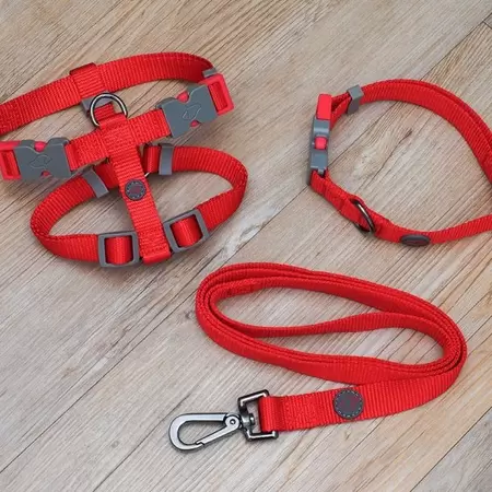 Red Walkabout Dog Collar - Medium (31cm - 47cm)
