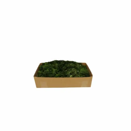 Reindeer Moss Dark Green 500g