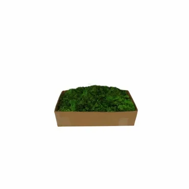 Reindeer Moss Green 500g