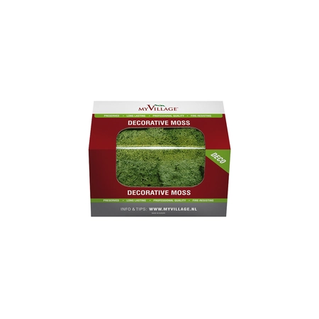 Reindeer Moss Green 50g