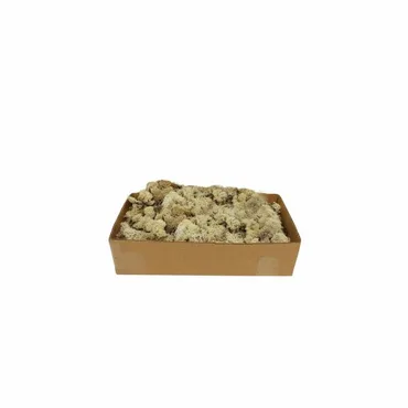 Reindeer Moss Natural 500g