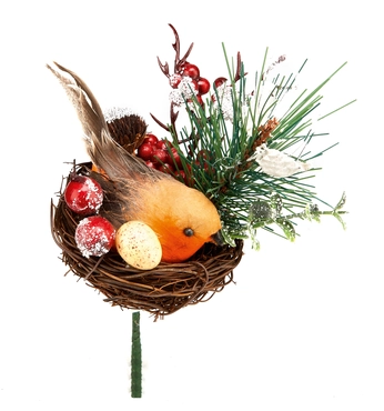 Robin In Nest Pick