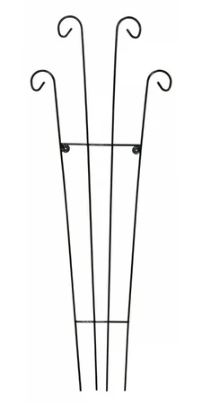 Rosa Trellis - 120cm