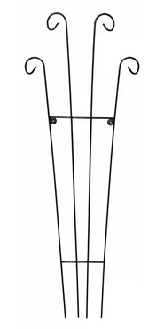 Rosa Trellis - 120cm