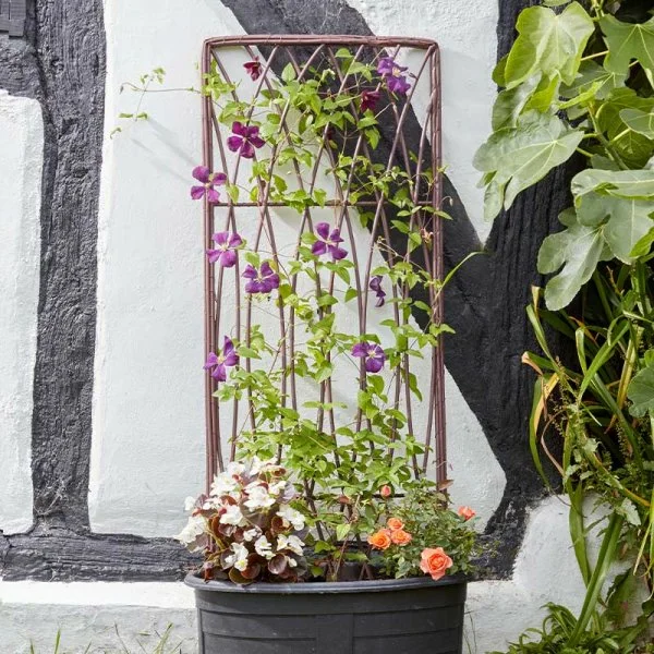 Willow trellis shop