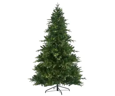 Royal Fir 225cm/7.5ft